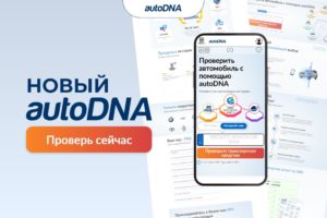 novij autoDNA