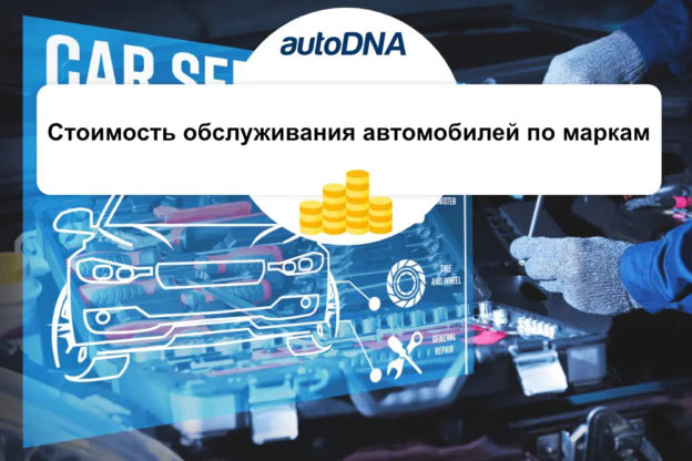 Стоимость обслуживания